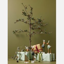 Hr &amp; Fru Rudolf 2024 ikldt nye grnne dragter.