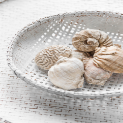 Honeycomb med kvast -  Golden