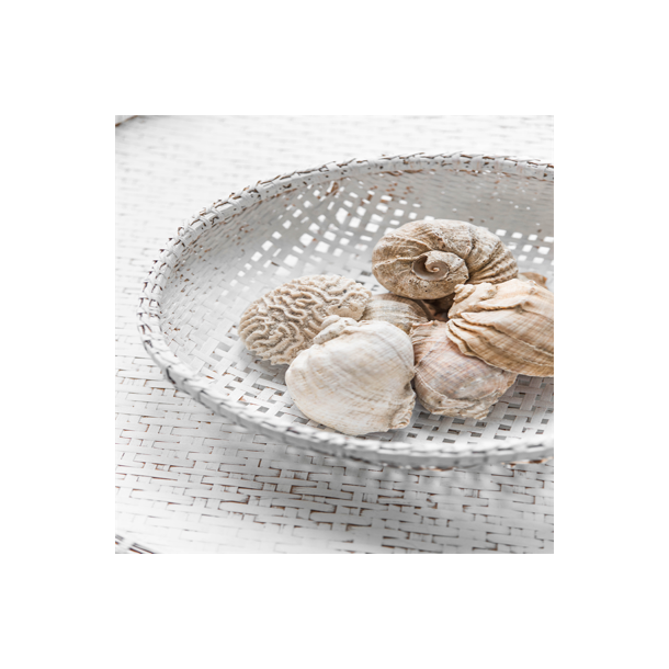 Honeycomb med kvast -  Golden