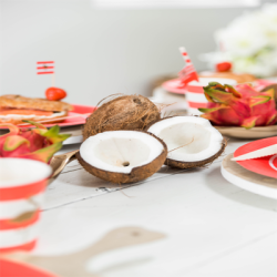 Treat bags Coral med flamingo