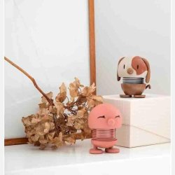 Hoptimist dyr – en del af den glade familie