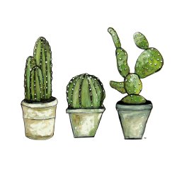 MSM Art - Kaktusser i potte (21 x 30cm)