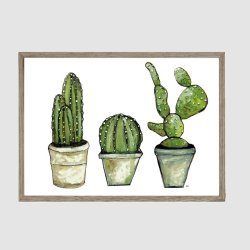 MSM Art - Kaktusser i potte (21 x 30cm)
