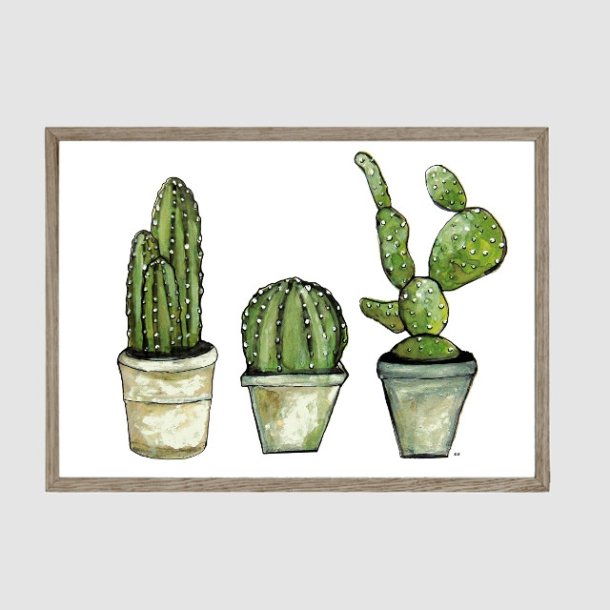 MSM Art - Kaktusser i potte (21 x 30cm)