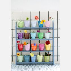 RICE krus i brnestrrelse – 8 cm hje med dyremotiver