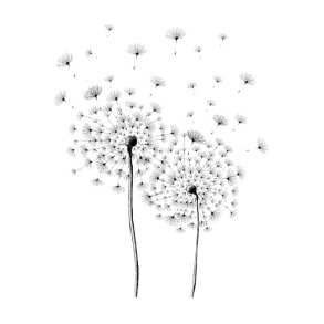 MSM Art - Mlkebtter (21x30cm)